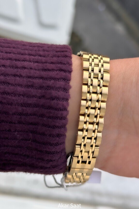 CH146L Çelik Kordonlu Kadın Kol Saati