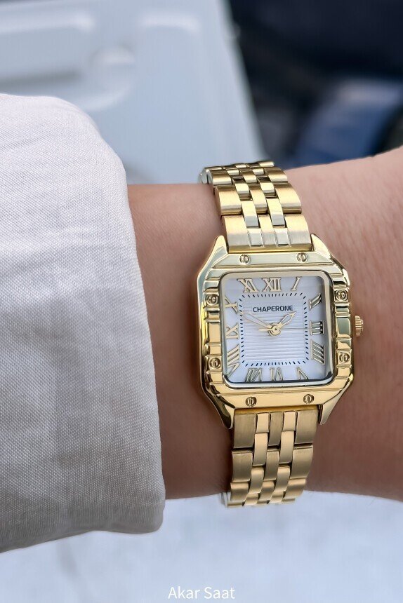 CH164L Çelik Kordonlu Kadın Kol Saati